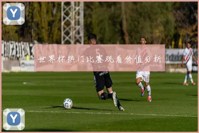 世界杯热门比赛观看价值分析